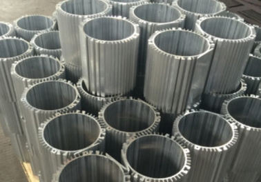 6061 su misura/6063/T5/T6 hanno espulso pittura di alluminio della polvere di recinzione/anodizzando